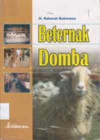 Beternak Domba